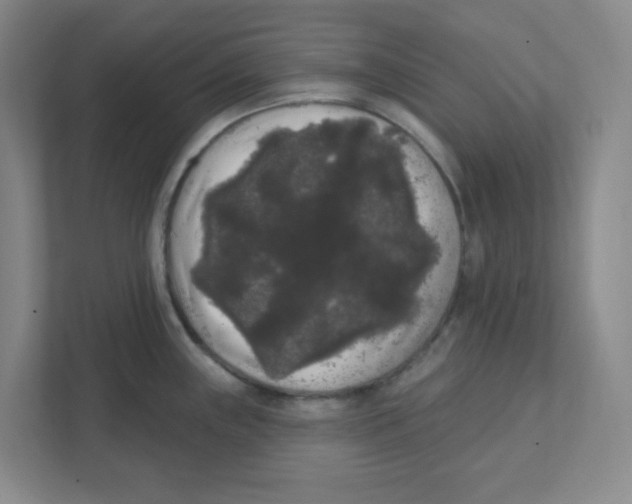 X0000111461243200908101048