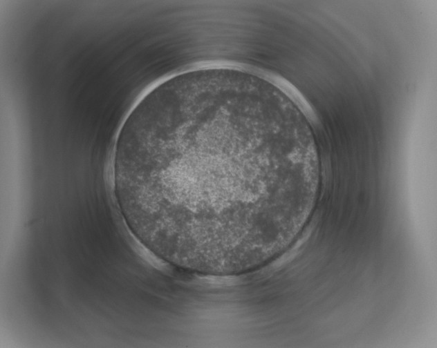 X0000111461244200908101048