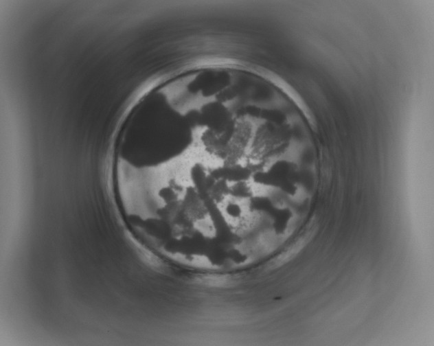 X0000111461245200908101048