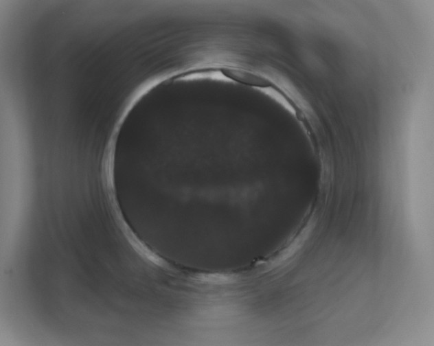 X0000111461246200908101048