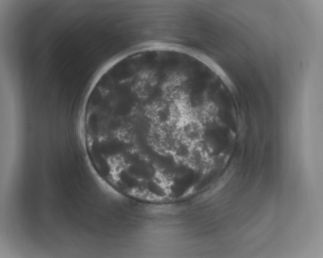X0000111461247200908101048