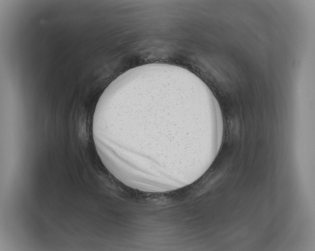 X0000111461250200908101047