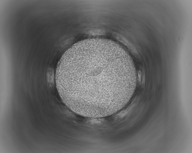X0000111461251200908101047