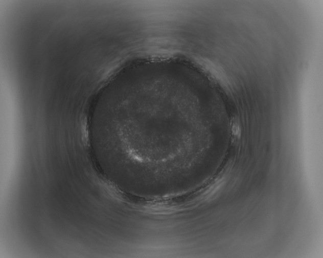 X0000111461252200908101047