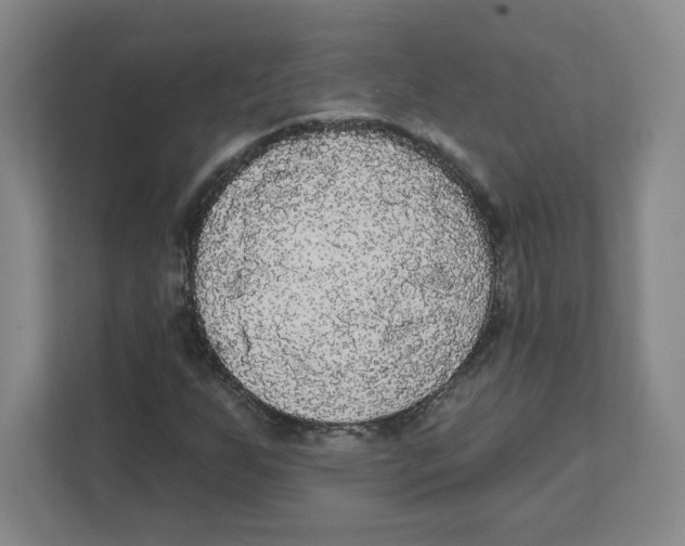 X0000111461255200908101047