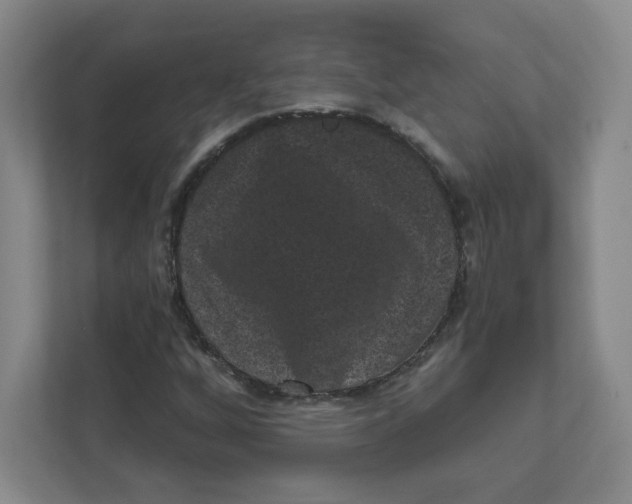 X0000111461256200908101047