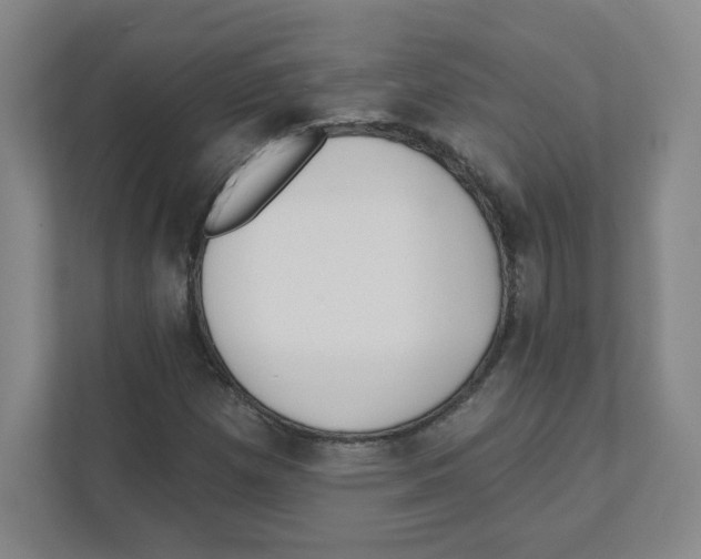 X0000111461257200908101047