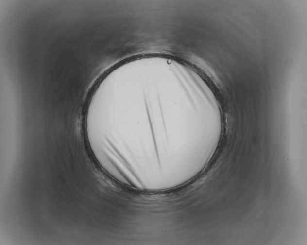 X0000111461260200908101047