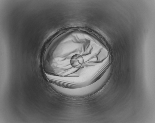 X0000111461261200908101047