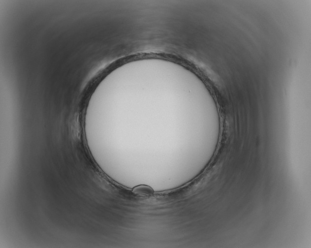 X0000111461262200908101047