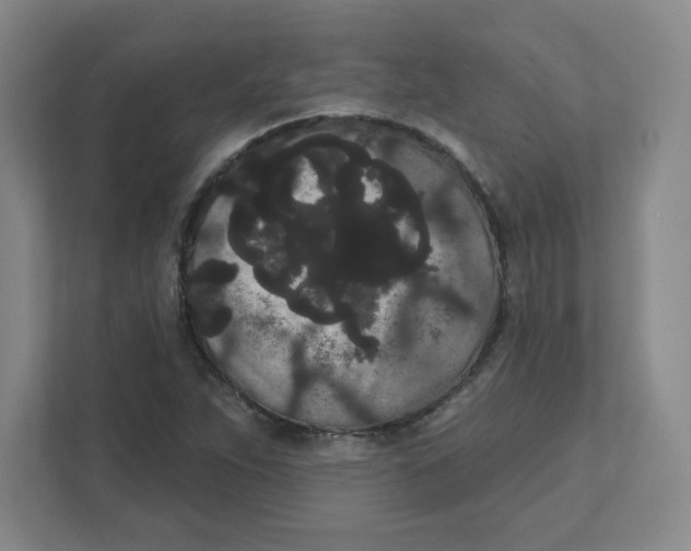 X0000111461263200908101047
