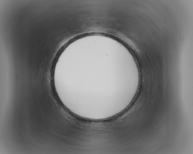 X0000111461264200908101047