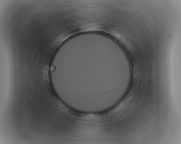 X0000111461265200908101047