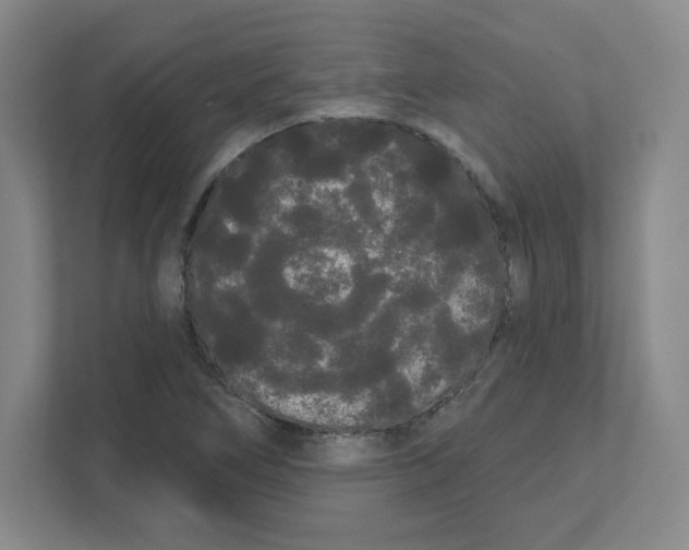 X0000111461266200908101047
