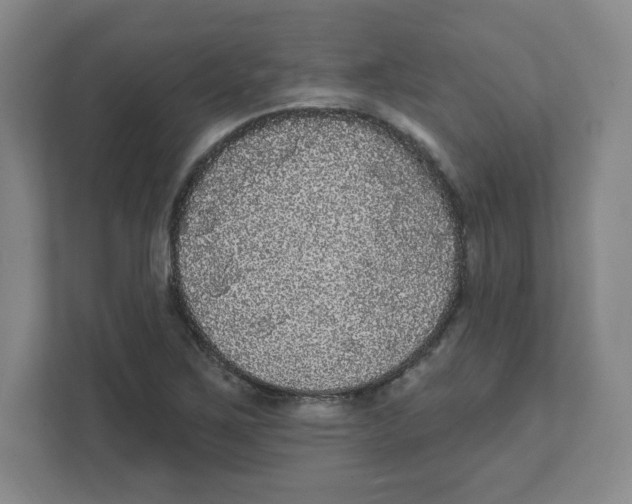 X0000111461267200908101047