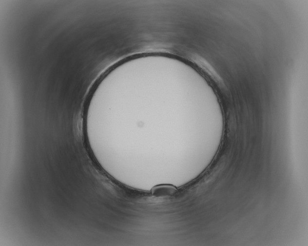X0000111461268200908101047