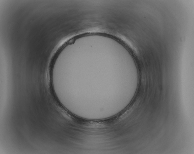 X0000111461270200908101047
