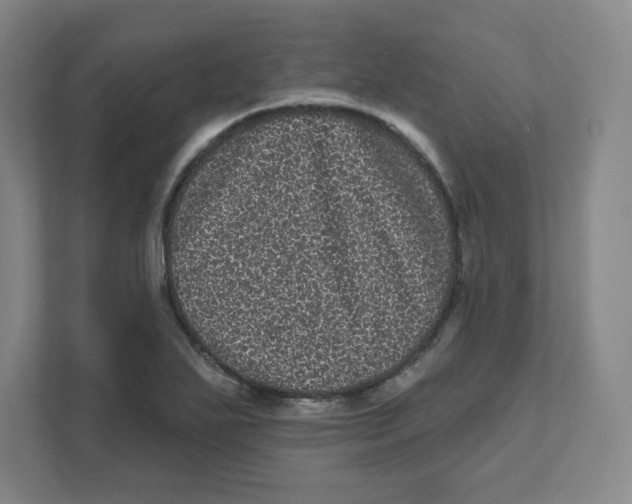 X0000111461271200908101047