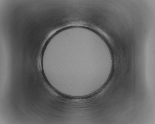 X0000111461272200908101047