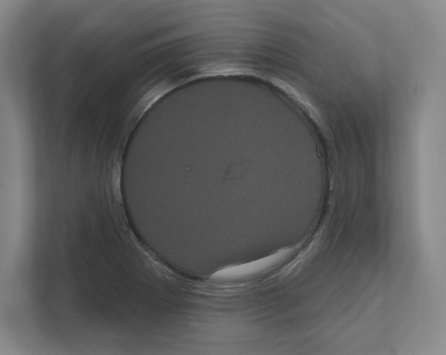 X0000111461273200908101047