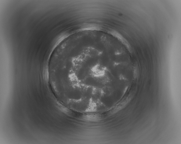 X0000111461274200908101047