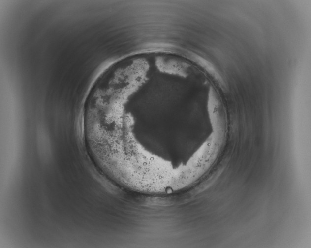 X0000111461275200908101047