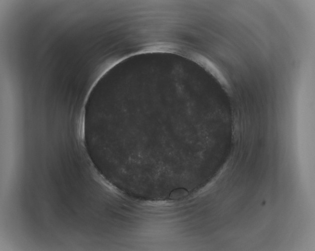 X0000111461276200908101047