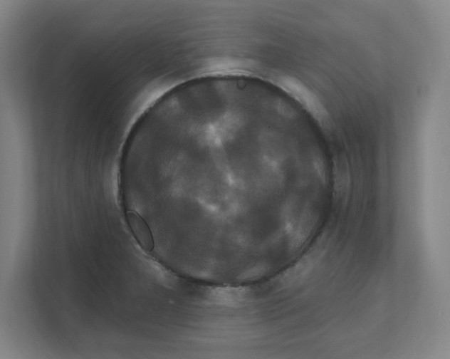 X0000111461277200908101047