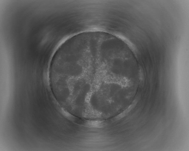 X0000111461278200908101047