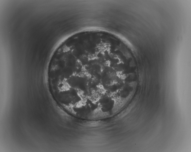 X0000111461279200908101047