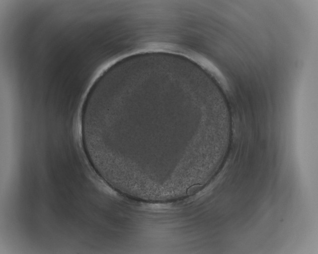 X0000111461280200908101047