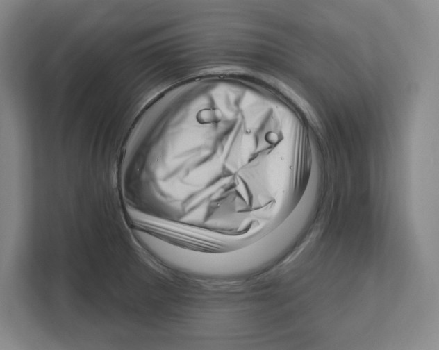 X0000111461281200908101047