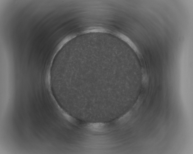 X0000111461282200908101047
