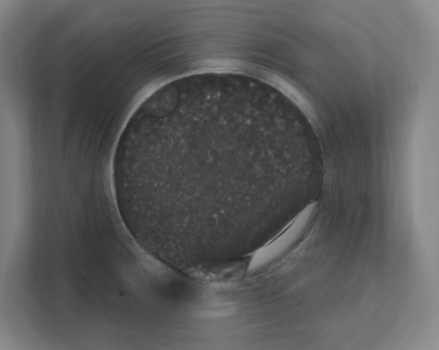 X0000111461283200908101047