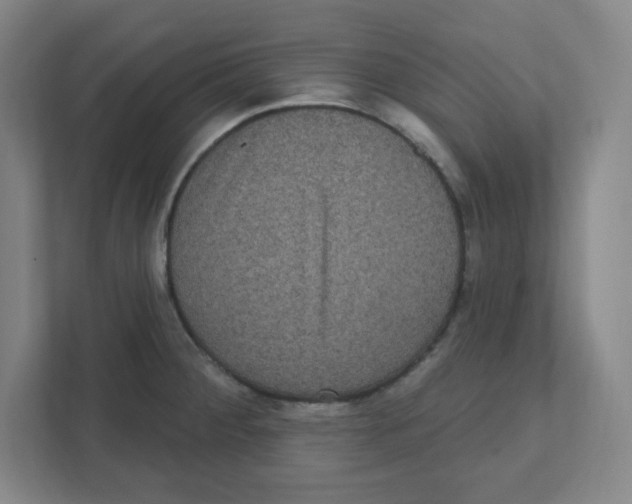 X0000111461284200908101047