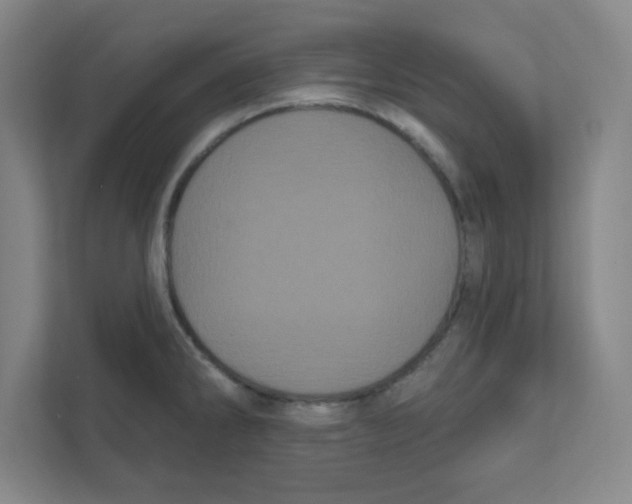 X0000111461286200908101047