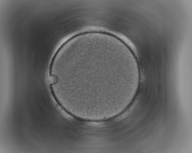 X0000111461287200908101047