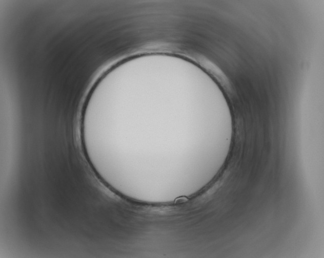 X0000111461288200908101047