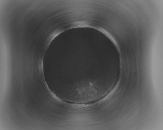 X0000111461289200908101047