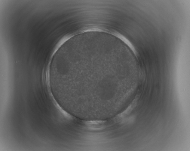 X0000111461290200908101047