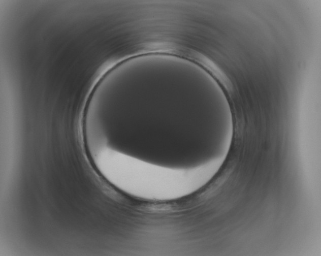 X0000111461291200908101047