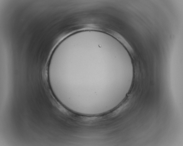 X0000111461292200908101047