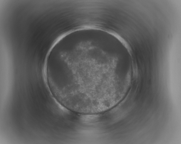 X0000111461294200908101047