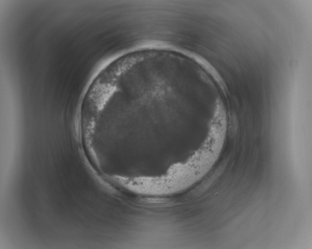X0000111461295200908101047