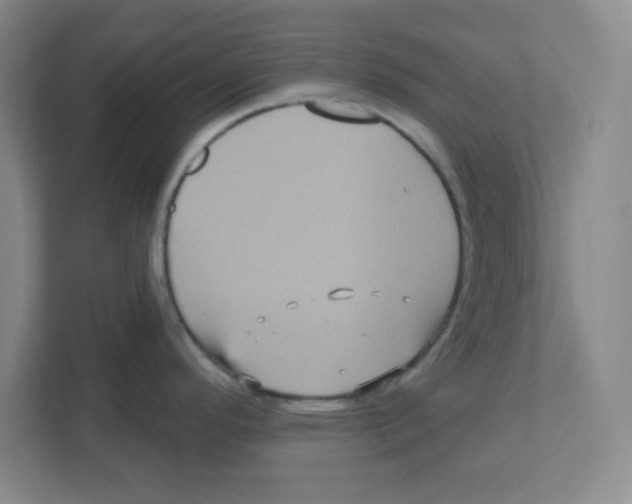 X0000111461296200908101047