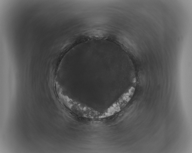 X0000111461297200908101046