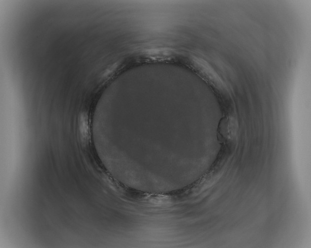 X0000111461298200908101046