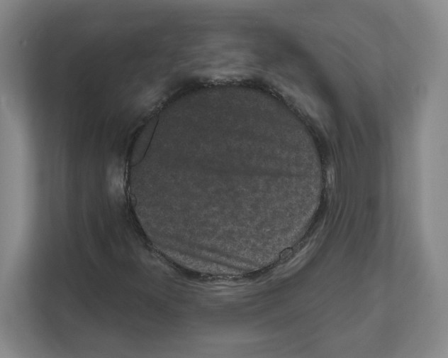 X0000111461300200908101046