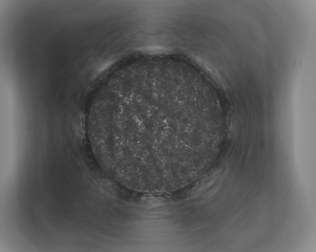 X0000111461301200908101046