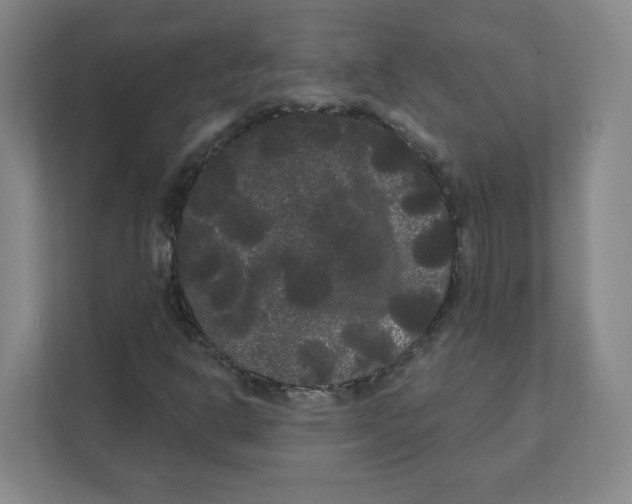 X0000111461302200908101046